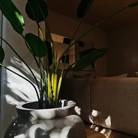 Brand New Apartment, Next To Park&beach Apartment